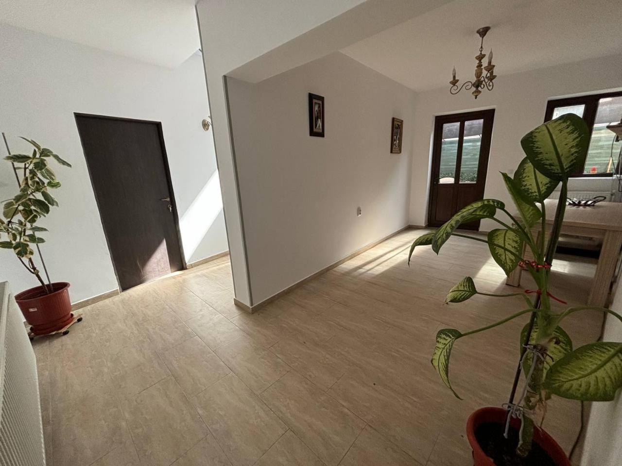 Alexander Residence Brăila Esterno foto